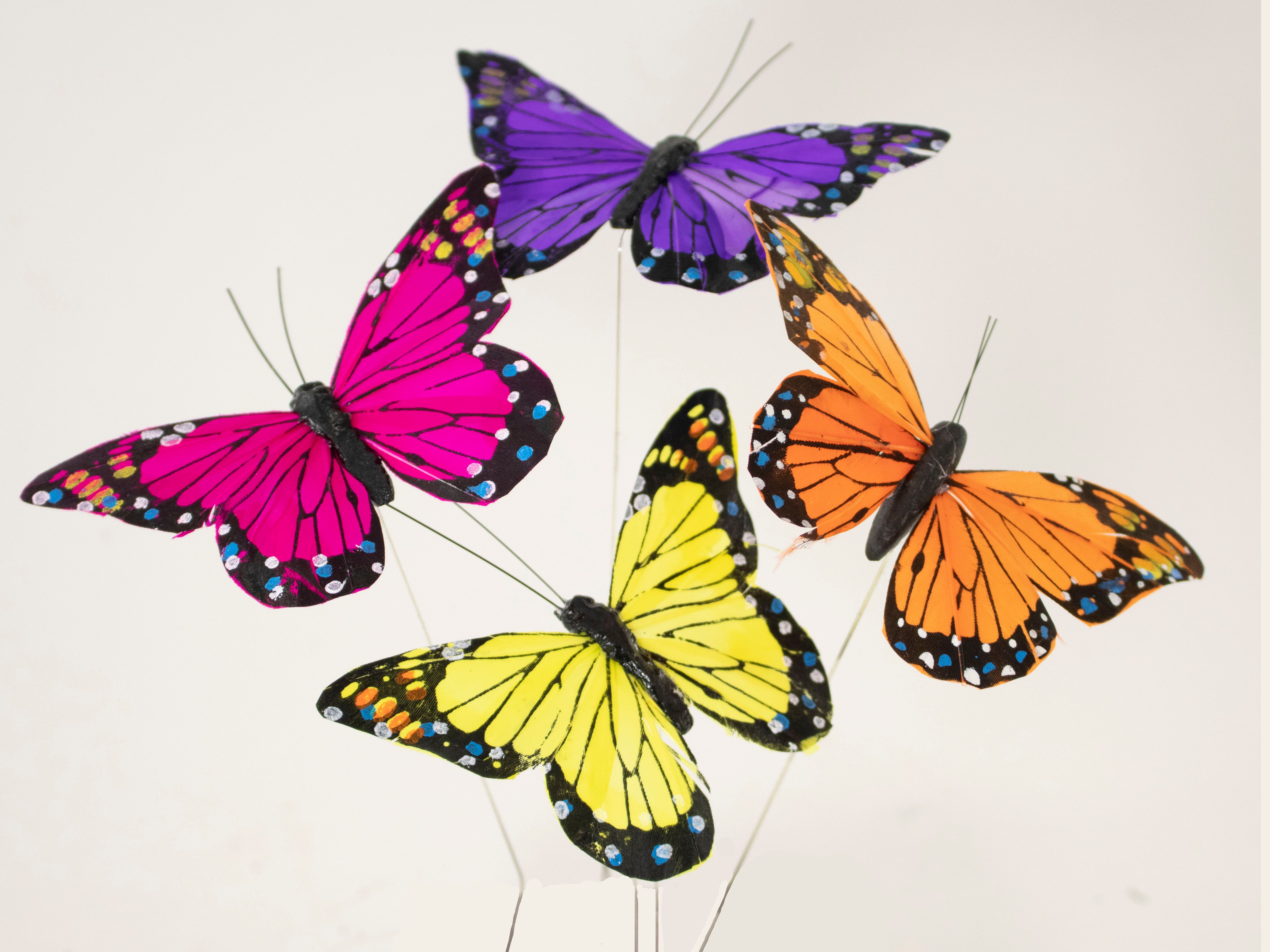 Butterfly Pick